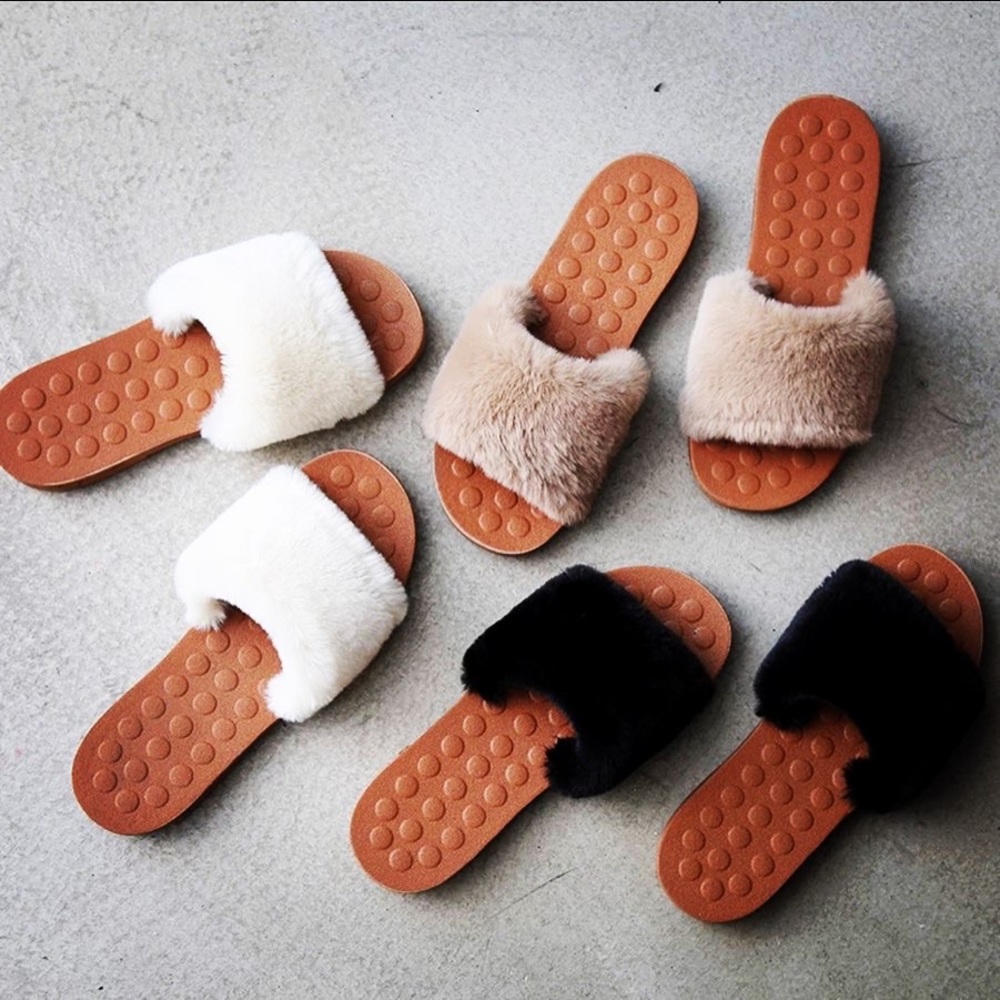 Teddy Slides